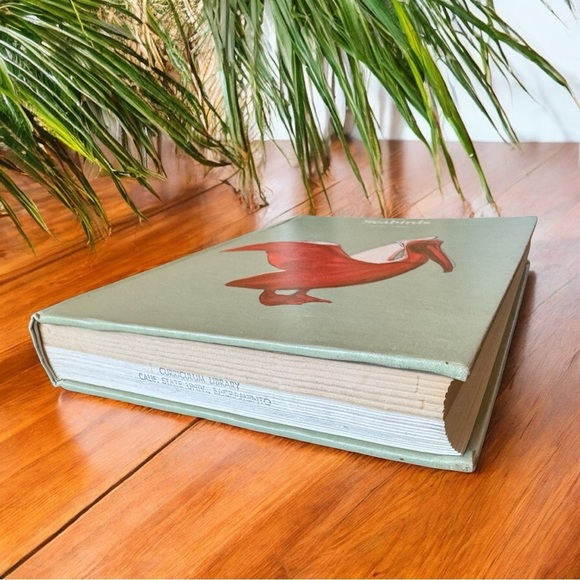 VINTAGE 1971 Seabirds Teacher’s Edition – Illustrated Hardcover - Picture 4 of 13